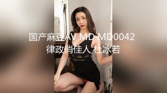 国产麻豆AV MD MD0042 律政俏佳人 杜冰若