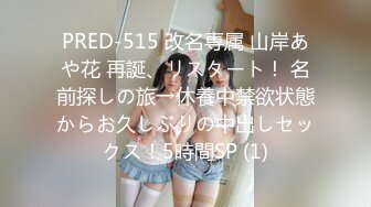 PRED-515 改名専属 山岸あや花 再誕、リスタート！ 名前探しの旅→休養中禁欲状態からお久しぶりの中出しセックス！5時間SP (1)