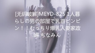 [无码破解]MEYD-825 1人暮らしの男の部屋で乳首ビンビン！！むっちり爆乳人妻家政婦 ちなみん