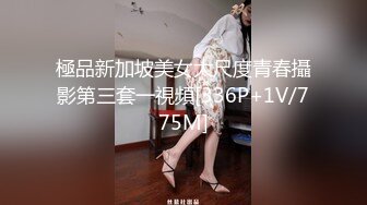 極品新加坡美女大尺度青春攝影第三套一視頻[336P+1V/775M]