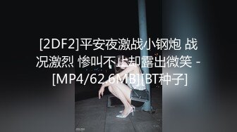 [2DF2]平安夜激战小钢炮 战况激烈 惨叫不止却露出微笑 - [MP4/62.6MB][BT种子]