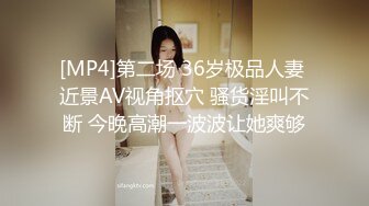 [MP4]第二场 36岁极品人妻 近景AV视角抠穴 骚货淫叫不断 今晚高潮一波波让她爽够