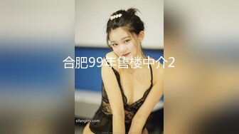 合肥99年售楼中介2