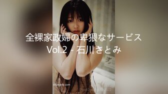 全裸家政婦の卑猥なサービスVol.2 - 石川さとみ