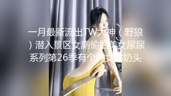 一月最新流出TW大神（野狼）潜入景区女厕偷拍美女尿尿系列第26季有个美女露奶头