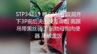 STP34369 糖心Vlog 双洞齐下3P前后夹击反差御姐 高跟吊带黑丝骚丁 玩物母狗肉便器 黑椒盖饭