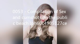 0053 - Compilation of Sex and cumshots on the public beach (ph60c4905127ce9)