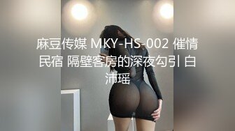 麻豆传媒 MKY-HS-002 催情民宿 隔壁客房的深夜勾引 白沛瑶