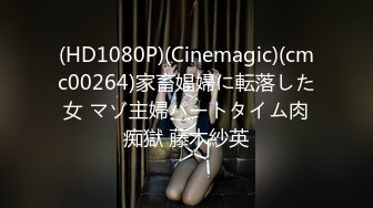 (HD1080P)(Cinemagic)(cmc00264)家畜娼婦に転落した女 マゾ主婦パートタイム肉痴獄 藤木紗英