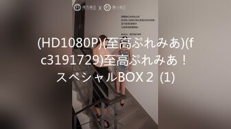 (HD1080P)(至高ぷれみあ)(fc3191729)至高ぷれみあ！スペシャルBOX２ (1)