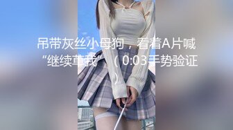 吊带灰丝小母狗，看着A片喊“继续草我”（0:03手势验证）