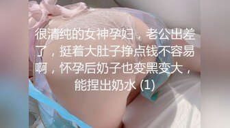 很清纯的女神孕妇，老公出差了，挺着大肚子挣点钱不容易啊，怀孕后奶子也变黑变大，能捏出奶水 (1)