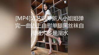 [MP4]才艺钢琴新人小姐姐弹完一曲边上自慰单腿黑丝袜自摸骚穴多是淫水