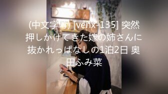 (中文字幕) [venx-135] 突然押しかけてきた嫁の姉さんに抜かれっぱなしの1泊2日 奥田ふみ菜