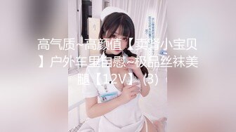 高气质~高颜值【卖肾小宝贝】户外车里自慰~极品丝袜美腿【12V】 (3)